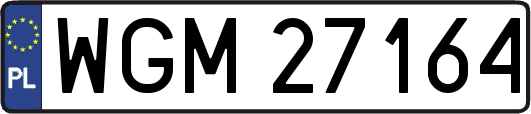WGM27164