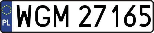 WGM27165