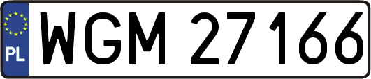 WGM27166