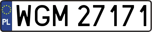 WGM27171