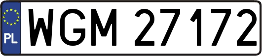 WGM27172