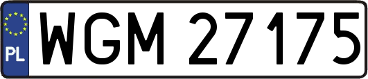 WGM27175