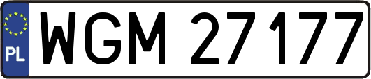 WGM27177