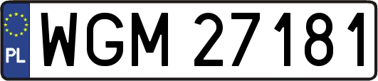 WGM27181
