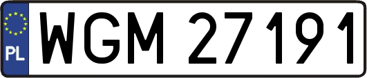 WGM27191