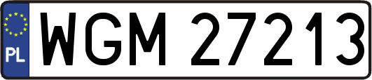 WGM27213