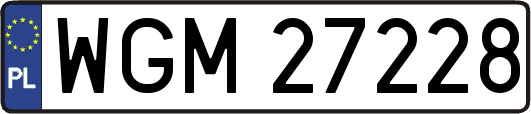 WGM27228