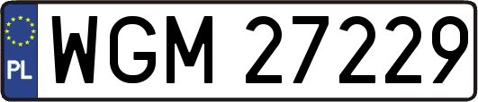 WGM27229