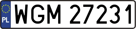 WGM27231