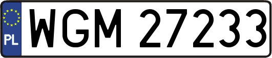 WGM27233