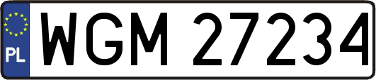 WGM27234