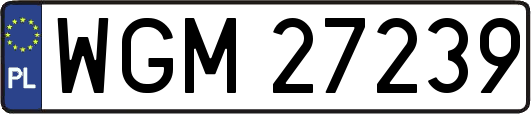 WGM27239