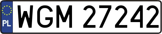 WGM27242
