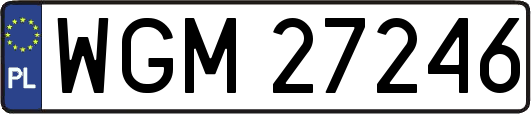 WGM27246
