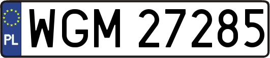 WGM27285