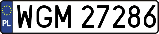WGM27286