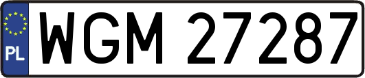 WGM27287
