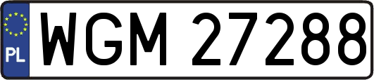 WGM27288