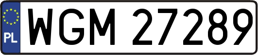 WGM27289