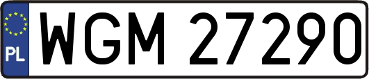 WGM27290