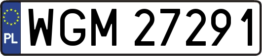 WGM27291