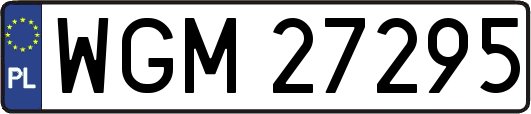 WGM27295