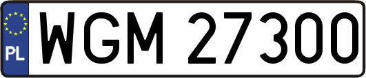 WGM27300