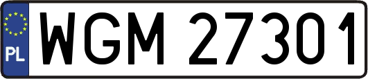 WGM27301