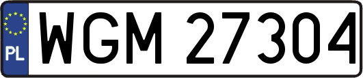 WGM27304
