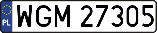 WGM27305