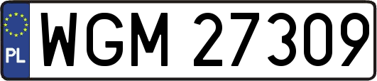 WGM27309