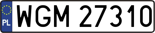 WGM27310