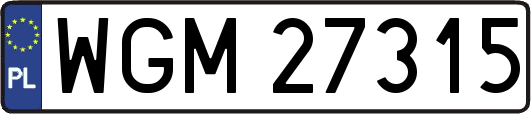 WGM27315
