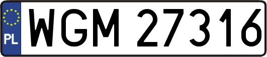 WGM27316