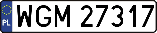 WGM27317
