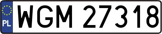 WGM27318