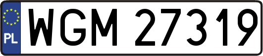 WGM27319