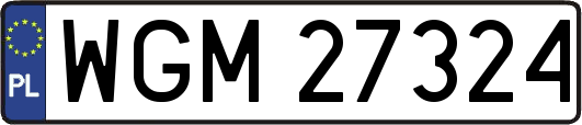 WGM27324