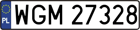 WGM27328