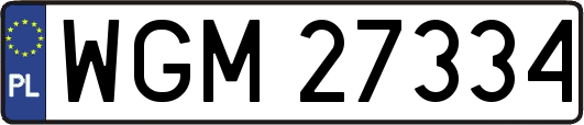 WGM27334