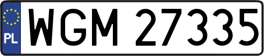 WGM27335