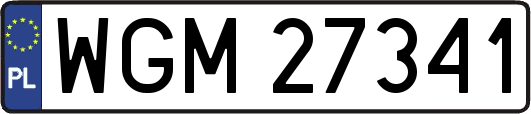 WGM27341