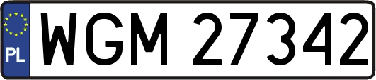 WGM27342