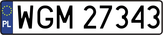 WGM27343