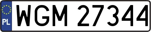 WGM27344