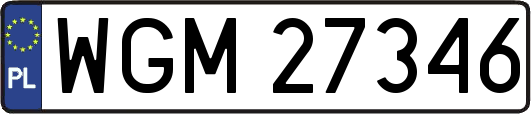 WGM27346