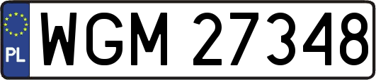 WGM27348