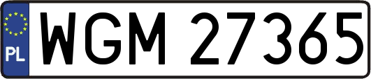 WGM27365