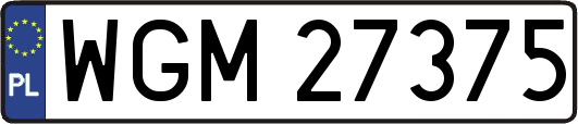 WGM27375