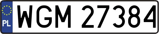WGM27384